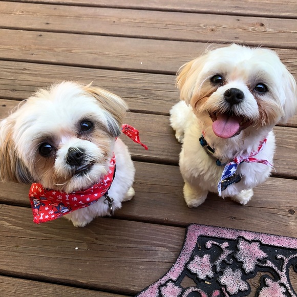 Meet your Posher, Amberly - Picture 3 of 5